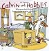 Calvin & Hobbes 06. Wissenschaftlicher Fortschritt macht ,,Boing''