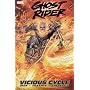 Ghost Rider Volume 1: Vicious Cycle TPB (v. 1)