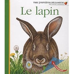 Le lapin