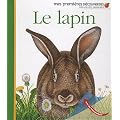 Le lapin
