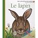 Le lapin