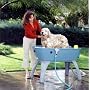 Booster Bath Plastic Dog Bath