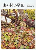 山や林の草花 (福音館のかがくのほん)の画像
