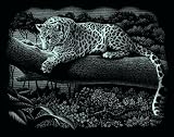 Mammut A30PPSFB - Kratzbild Scraper Leopard, silber