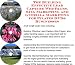 Book The Guerilla Marketing, Building Effective Lead Capture Web Pages, SIVA Marketing for Pilates DVDs Businesses