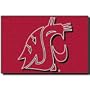 Washington State 40 x 60 Rug