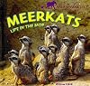 MEERKATS: LIFE IN THE MOB by Clark, Willow ( Author ) on Jan-15-2011[ Hardcover ]