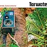 Bild des Albums von Tarwater