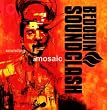 Sounding Amosaic