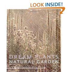 Dream Plants for the Natural Garden