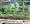 The Allotment Book
