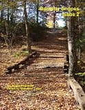 Bartleby Snopes Issue 2