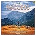 2015 Soar to Success Wall Calendar