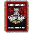 NHL Chicago Blackhawks Stanley Cup Champion Acrylic Tapestry