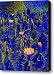 Desert Roses Canvas Print / Canvas Art - Artist Robert Ball
