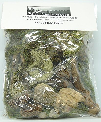 Oregon Coast Forest Floor Decor 400 cubic inch Poly Bag