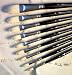 W&N Artist Oil Brush Filbert 12