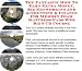 The Fantastic How To Earn Extra Money, Biz Networking and Accounting & Finance for Memory Foam Mattress Pads Web Biz 3 CD Course