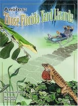 Anoles: Those Florida Yard Lizards