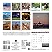 2017 American Quarter Horse Calendar