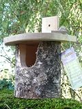 NATURAL SILVER BIRCH LOG ROBIN BOX