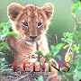 F�lins, MONDE ENCHANTE de Disney nature
