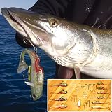Mighty Bite Fishing Lures Complete Basic Kit