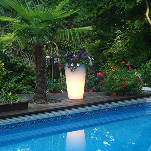 Bon Decor Illuminated Planter Clear with LED
