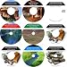 The Radical 9 CD No Money Down, Millionaire Making Real Estate Mastery Set