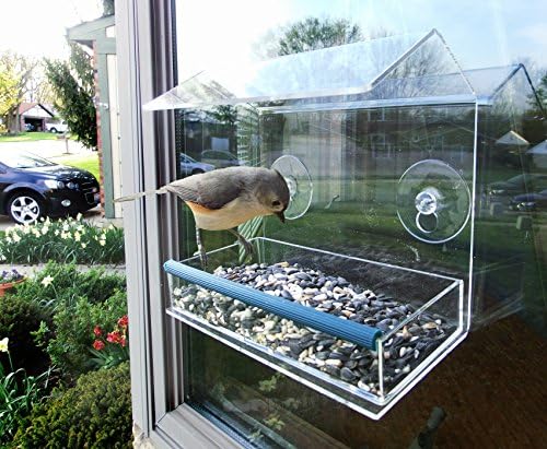 Bird Feeder For Window - Removable Tray &amp; Drain Holes - Durable Acrylic Clear Window Feeder For Unlimited Wild Birds - Great For Attracting Small And Large Birds - Virtually Squirrel Proof