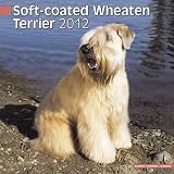 Soft-Coated Wheaten Terrier 2012 Calendar #10074-12
