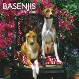 Basenjis 2008 Square Wall Calendar