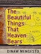The Beautiful Things That Heaven Bears