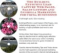 The Guerilla Marketing, Building Effective Lead Capture Web Pages, Sales Letters for Cocoa Businesses