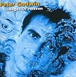 Images of Heaven-Best of Peter