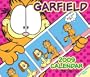 Garfield: 2009 Day-to-Day Calendar