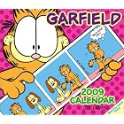 Garfield: 2009 Day-to-Day Calendar by Jim Davis
