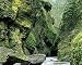 Moss Coating Oneonta Gorge - 24"W x 19"H - Peel and Stick Wall Decal by Wallmonkeys