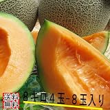 ���i�̏ڍ�
