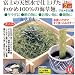 わかめそば　海草美人　14食入り ワカメ100％の海草麺　わかめ蕎麦　ワカメそば　ワカメラーメン