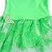 BAOHULU Girls Camisole Butterfly Tulle Ballet Leotard Tutu Dance Dress B092_Green_XL