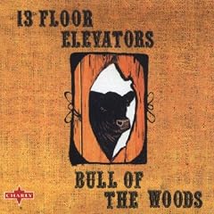 Bull of the Woods