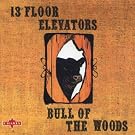 Bull Of The Woods