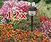 Outddor Lights 92026 Solar Gartenbeleuchtung 40 cm
