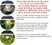The Ultimate How To Earn Extra Money, Marketing and Success Principles for Nursing Shoes On-line Businesses 3 CD Pack