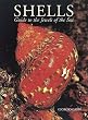 Shells: Guide to the Jewels of the Sea