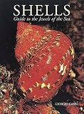  : Shells: Guide to the Jewels of the Sea