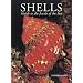 Shells: Guide to the Jewels of the Sea