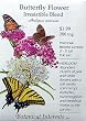 Butterfly Flower Seeds