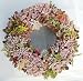 Succulent Round Living Wreath - 11" diameter base